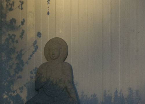 Buddha in the Garden of Shadows